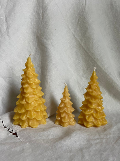 Beeswax Trees