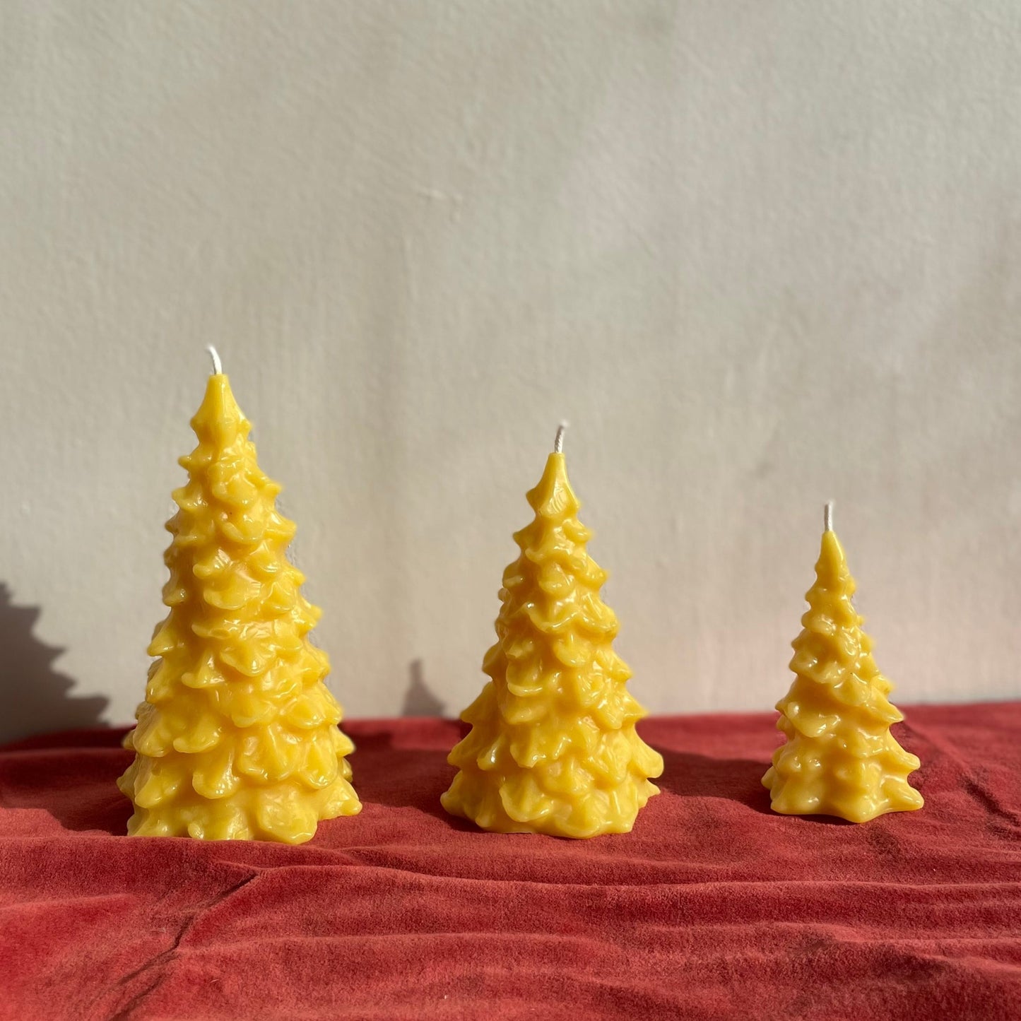 Beeswax Trees